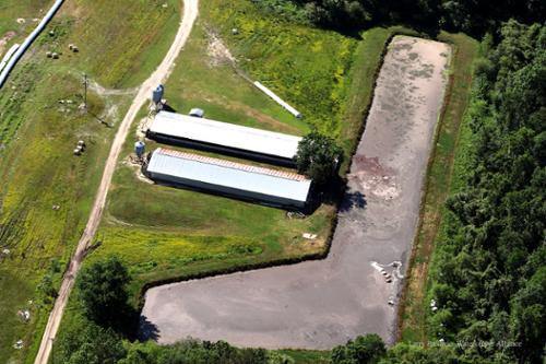 Sludge building up