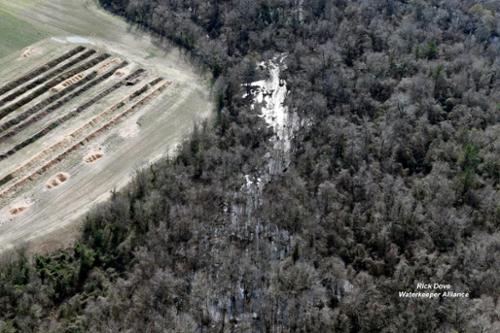 Poultry waste containing dead birds and mulch material left open to the environment for months after Hurricane Florence are pictured here.. The Trent River is adjacent to the piles