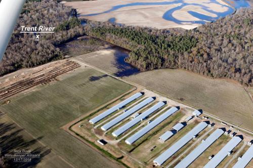 Poultry waste containing dead birds and mulch material left open to the environment for months after Hurricane Florence are pictured here.. The Trent River is adjacent to the piles