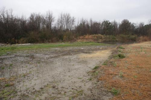 Sampling revealed extremely high levels of arsenic, bacteria and nutrients