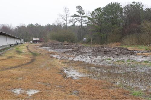 Sampling revealed extremely high levels of arsenic, bacteria and nutrients