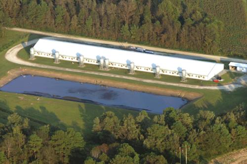Hog Factory