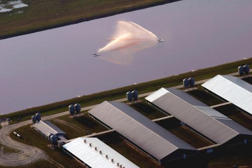 Spraying hog feces and urine through the air into a lagoon of hog feces and urine???